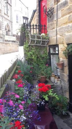 Cottage garden in Staithes