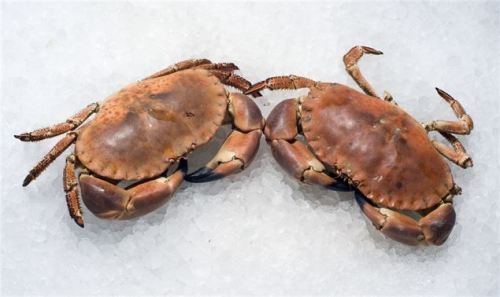 Accommodation in Staithes Yorkshire Coast